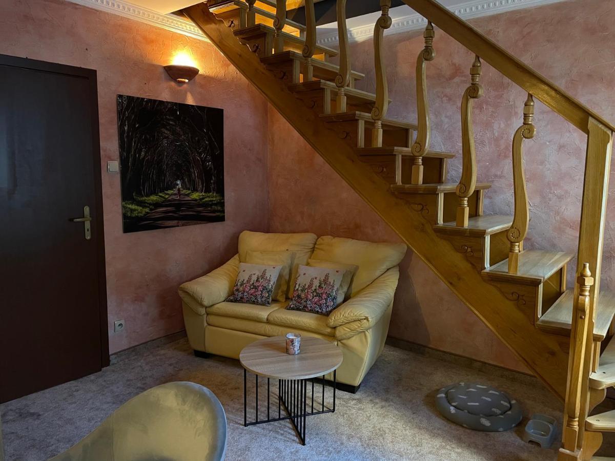Apartament Grand Krupowki 47 Zakopane Dış mekan fotoğraf